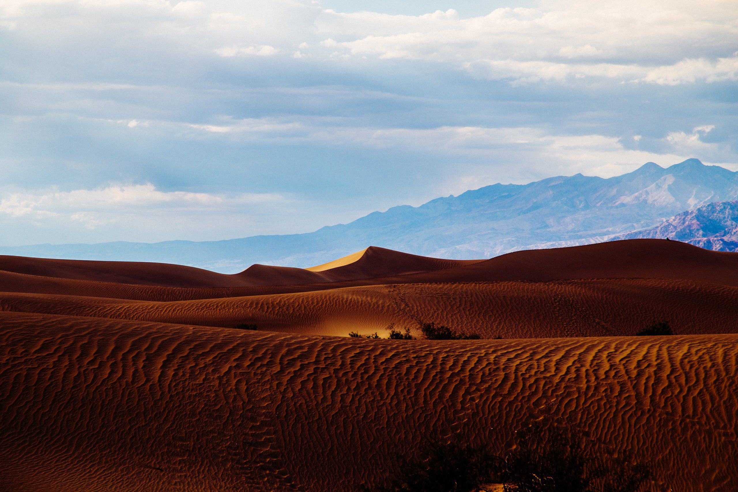 desert-dunes-roadtrip-029